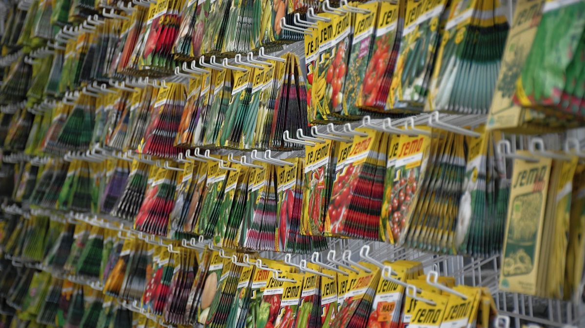 F1 či hybrid? Pozor, nemluvíme o automobilech, ale o značení semínek